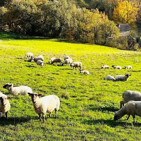 De Mazies Aveyron